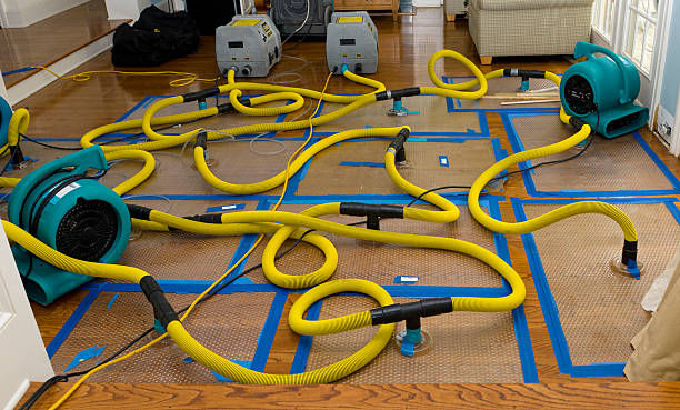 Professional Structural Drying And Dehumidification technician working in Raymond, WA