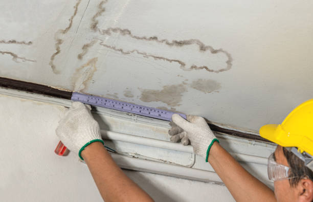 Affordable Water Damage Repair solutions in Raymond, WA